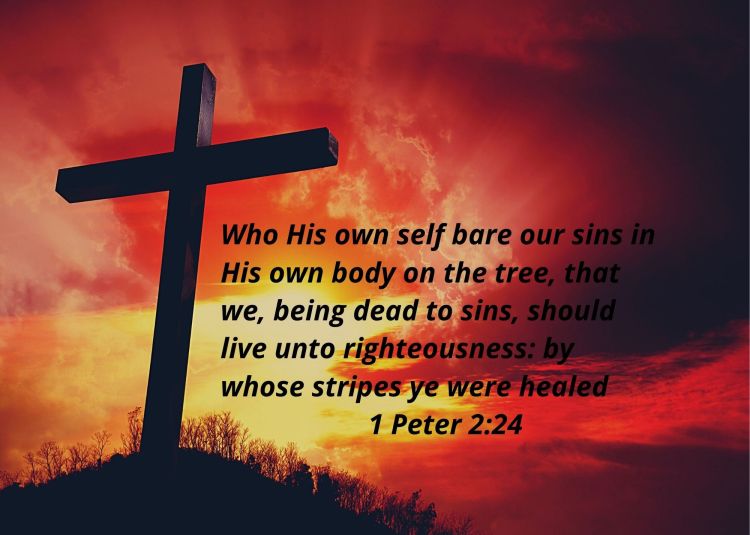1 Peter 2:24