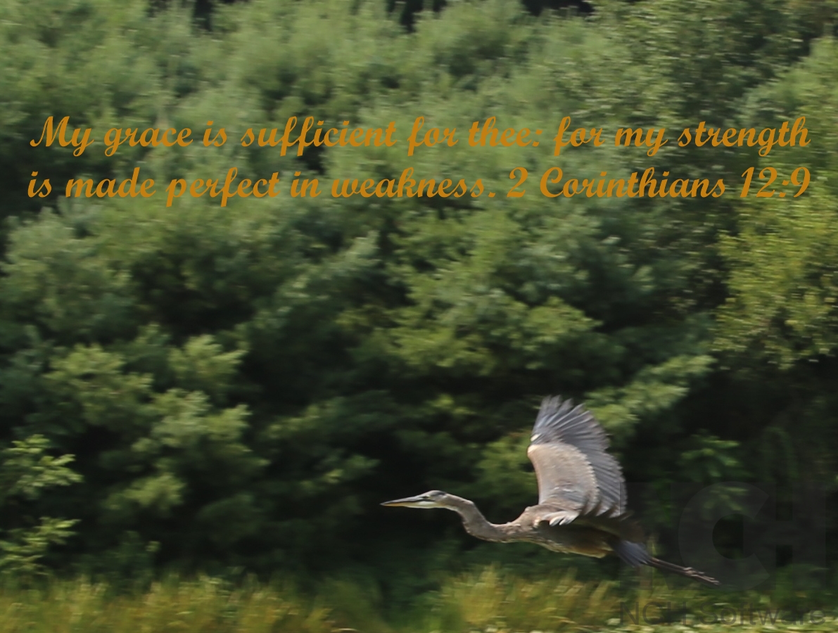 2 corr 12:9